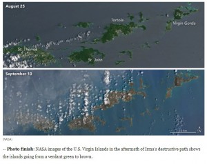CU Blog - After Irma, Barbuda Becomes a 'Ghost Town' - Photo 2