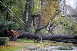 CU Blog - After Irma, the Science of Power Restoration - Photo 2